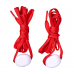 LED apavu šņores Nr. 231/22